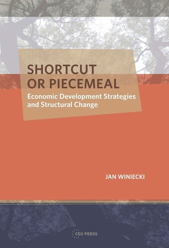Shortcut or Piecemeal: Economic Development Strategies and Structural Change