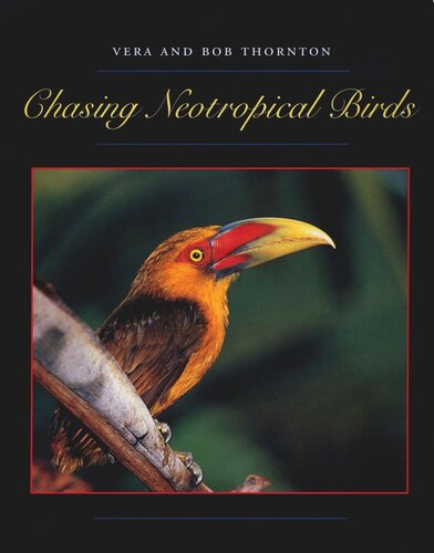 Chasing Neotropical Birds
