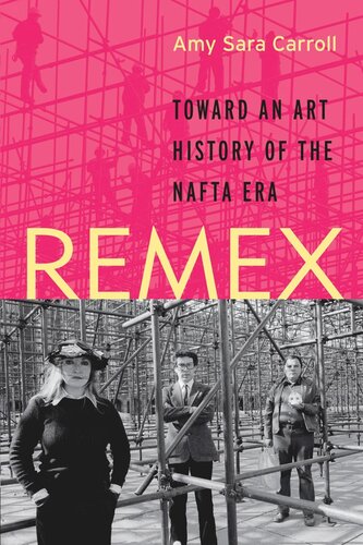 REMEX: Toward an Art History of the NAFTA Era
