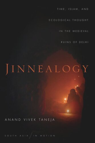 Jinnealogy: Time, Islam, and Ecological Thought in the Medieval Ruins of Delhi