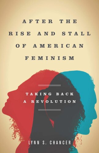 After the Rise and Stall of American Feminism: Taking Back a Revolution