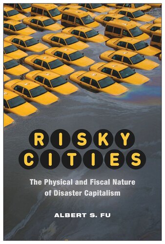 Risky Cities: The Physical and Fiscal Nature of Disaster Capitalism