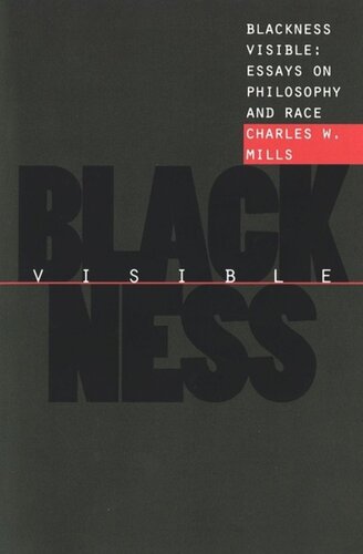 Blackness Visible: Essays on Philosophy and Race
