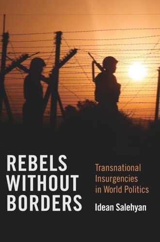 Rebels without Borders: Transnational Insurgencies in World Politics