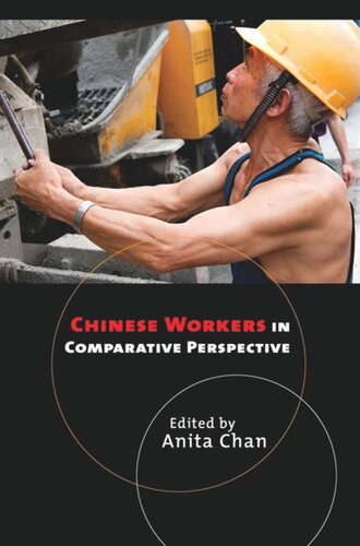 Chinese Workers in Comparative Perspective