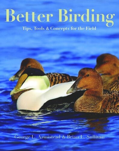 Better Birding: Tips, Tools, and Concepts for the Field