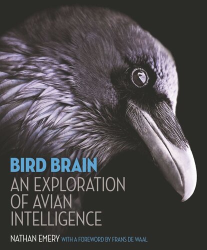 Bird Brain: An Exploration of Avian Intelligence