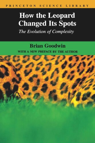 How the Leopard Changed Its Spots: The Evolution of Complexity