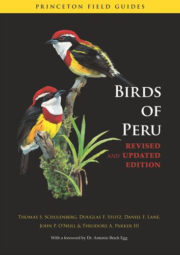 Birds of Peru: Revised and Updated Edition