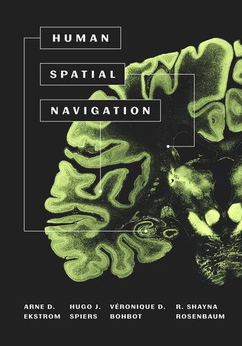 Human Spatial Navigation