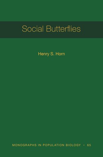 Social Butterflies