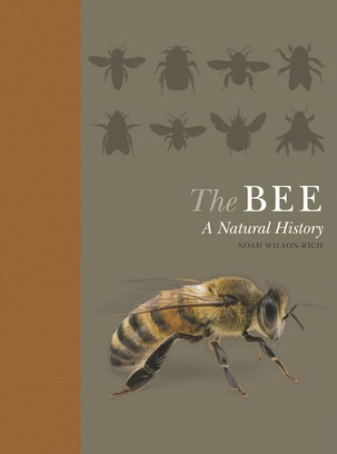 The Bee: A Natural History