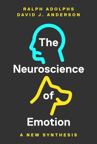 The Neuroscience of Emotion: A New Synthesis