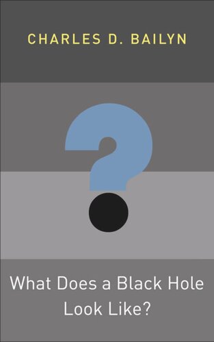 What Does a Black Hole Look Like?