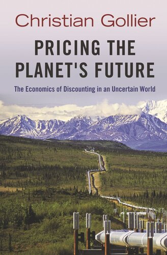 Pricing the Planet's Future: The Economics of Discounting in an Uncertain World