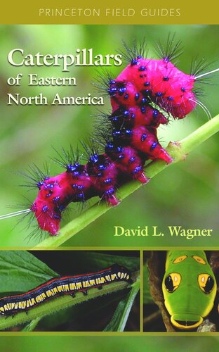 Caterpillars of Eastern North America: A Guide to Identification and Natural History