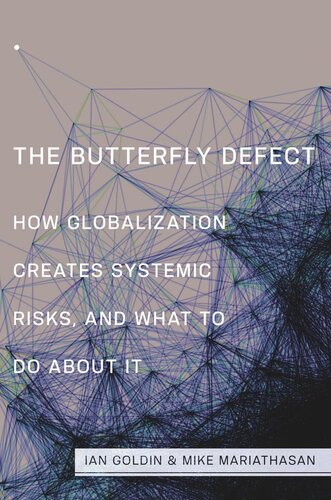 The Butterfly Defect: How Globalization Creates Systemic Risks, and What to Do about It