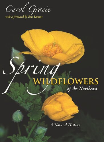 Spring Wildflowers of the Northeast: A Natural History