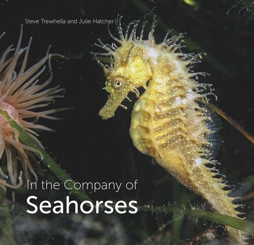 In the Company of Seahorses