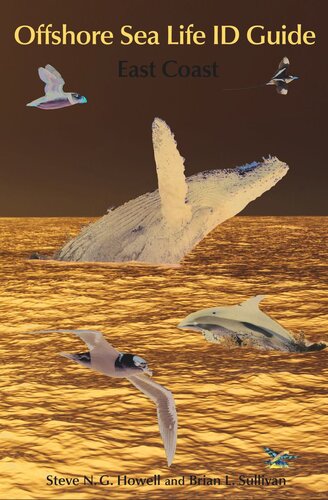 Offshore Sea Life ID Guide: East Coast