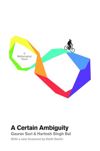 A Certain Ambiguity: A Mathematical Novel
