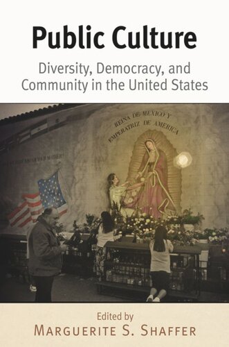 Public Culture: Diversity, Democracy, and Community in the United States