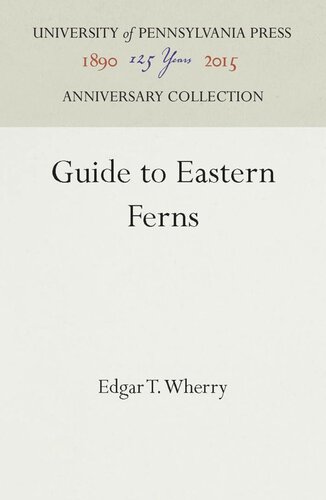 Guide to Eastern Ferns