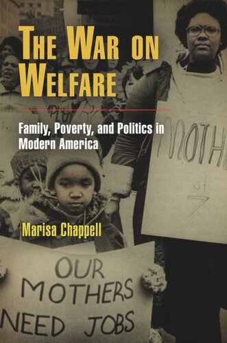 The War on Welfare: Family, Poverty, and Politics in Modern America