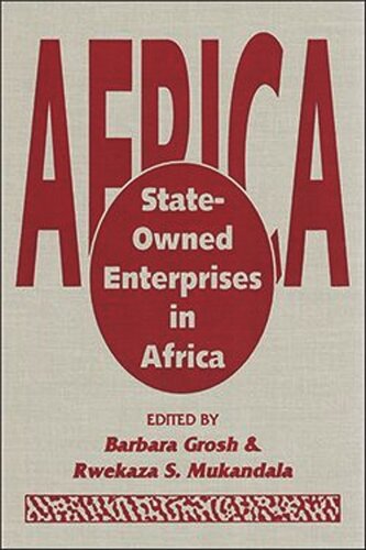 State-Owned Enterprises in Africa