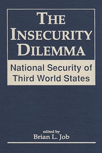 The Insecurity Dilemma: National Security of Third World States