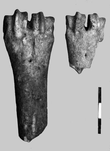 The Neolithic Settlement of Knossos in Crete: New Evidence for the Early Occupation of Crete and the Aegean Islands