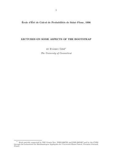 Lectures on some aspects of the bootstrap