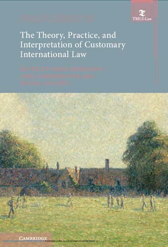 The Theory, Practice, and Interpretation of Customary International Law