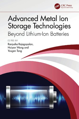 Advanced Metal Ion Storage Technologies: Beyond Lithium-Ion Batteries