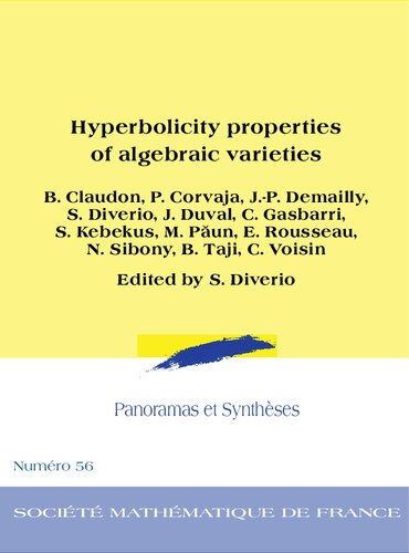 Hyperbolicity properties of algebraic varieties