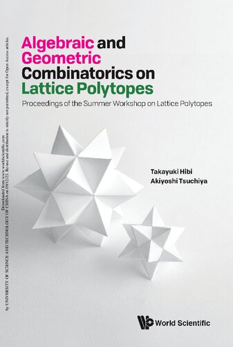 Algebraic and Geometric Combinatorics on Lattice Polytopes
