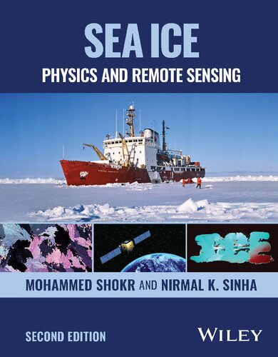 Sea Ice: Physics and Remote Sensing
