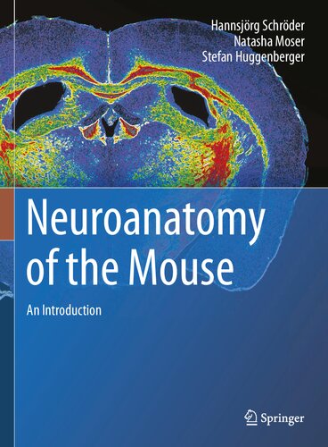 Neuroanatomy of the Mouse: An Introduction
