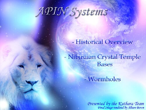 APIN Systems