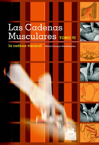 LAS CADENAS MUSCULARES La cadena visceral Descripción y tratamiento