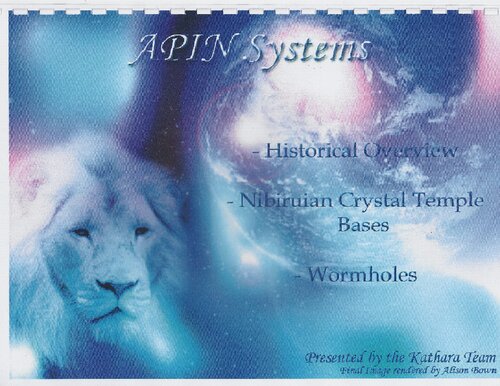 APIN Systems