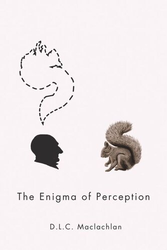 The Enigma of Perception
