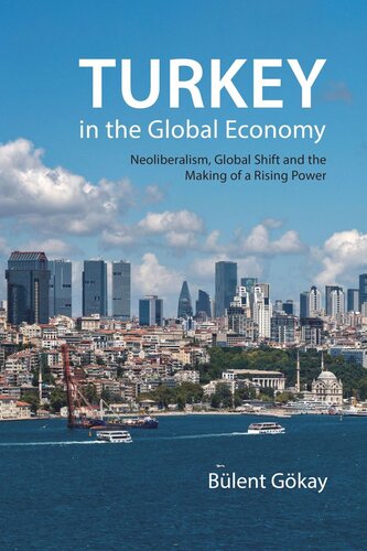 Turkey in the Global Economy: Neoliberalism, Global Shift, and the Making of a Rising Power