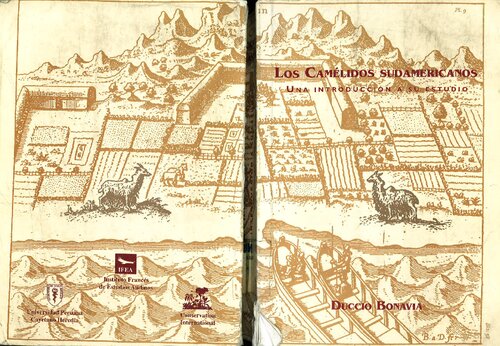 Los Camélidos Sudamericanos