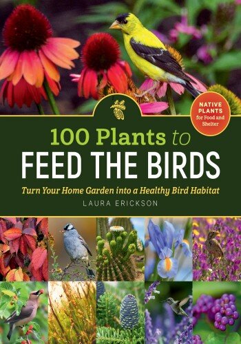 100 Plants to Feed the Birds