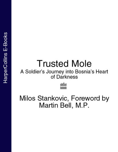 Trusted mole : a soldier's journey into Bosnia's heart of darkness