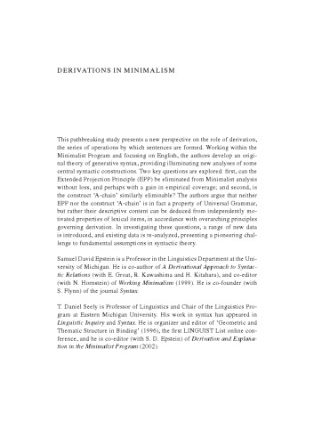 Derivations in Minimalism