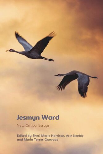 Jesmyn Ward: New Critical Essays