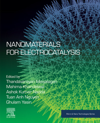 Nanomaterials for Electrocatalysis (Micro and Nano Technologies)