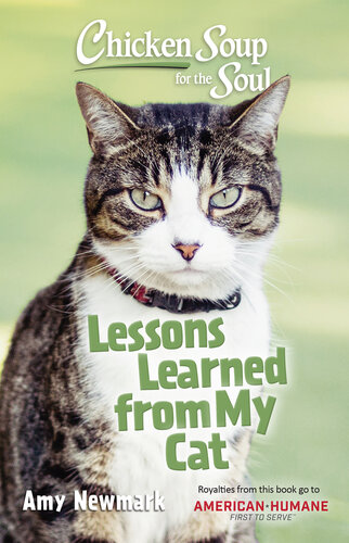 Chicken Soup for the Soul: Lessons Learned from My Dog: 101 Tales of Friendship and Fun